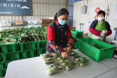 农产品例行监测合格率99%以上 上海推进产地准出制度强化达标合格检验